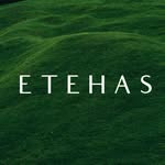 etehas profile picture
