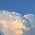 ethereallune_ profile picture
