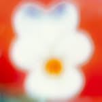 etiennefrancey profile picture