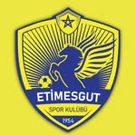 etimesgutbelediyesporkulubu profile picture