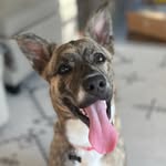 etta_thechetta profile picture