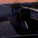 evagonzalez.equus profile picture