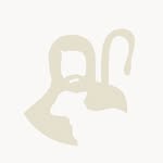 evangelicanskacerkev.nm profile picture