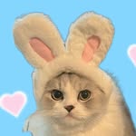 evanla profile picture