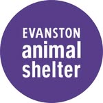 evanstonpets profile picture