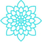 eventmobilespa profile picture