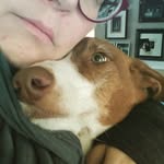 everclaire_mke profile picture