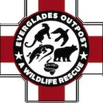 evergladesoutpost profile picture