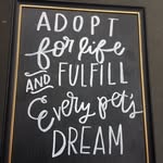 everypetsdream profile picture