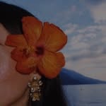 evia.irl profile picture