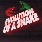 evolutionofasnake profile picture