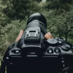 exalated_photophile profile picture