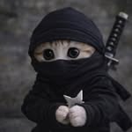 exe_aymen_tweets profile picture