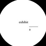 exhibit______a profile picture