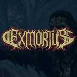 exmortus_official profile picture