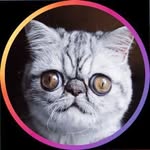 exoticherman profile picture