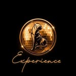 experience_thegamepalacio profile picture