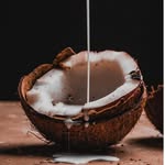 exploreelo profile picture