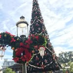 explorer_of_disney profile picture