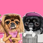 explorewithpopsicle profile picture