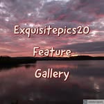 exquisitepics20 profile picture