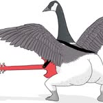 extremelyaccuratebirds profile picture