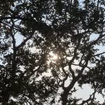 eyeofelli profile picture