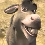 ezziewscars_ profile picture