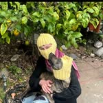 f.e.r.n.e.t profile picture
