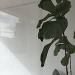f_fleur profile picture