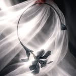 fabiandelafuentes profile picture