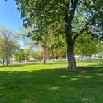 fabians_landscape profile picture