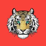 fableandmane profile picture