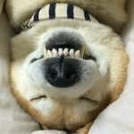 fabre_cafe profile picture