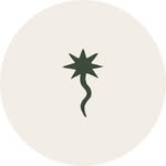 fabriziocasiraghi profile picture