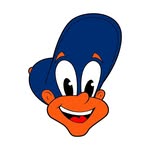 facesofmetsfans profile picture