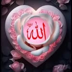 faijaan3155 profile picture