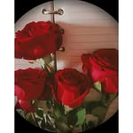faizafirdouskhan profile picture