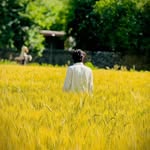 faizan_malik_0k profile picture
