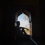 falgun_99 profile picture