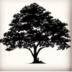 familyorchards profile picture
