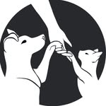 fapf profile picture