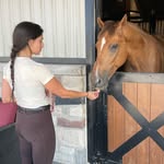 farahzipursky profile picture