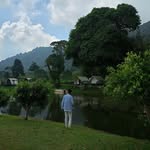 fareldf profile picture