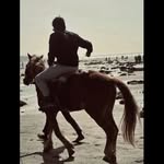farhan___adeeb profile picture