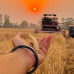 farmerlife_iii profile picture