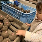 farmkurasawa2019 profile picture