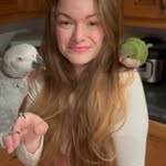 fartbirb profile picture