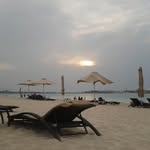 farwa_kr profile picture
