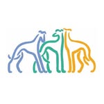 fastfriendsgreyhounds profile picture